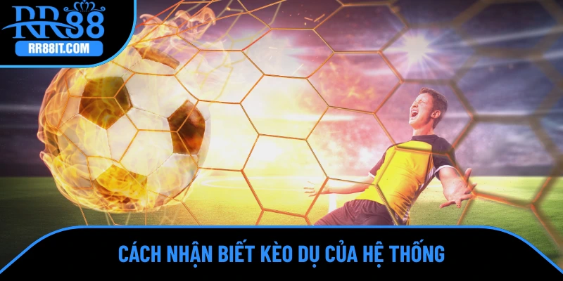 Cách nhận biết kèo dụ của hệ thống