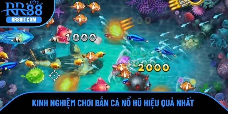 Kinh nghiệm chơi bắn cá nổ hũ hiệu quả nhất 