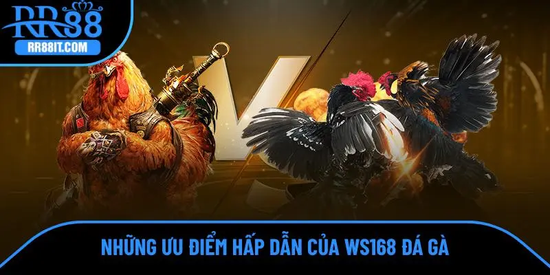 Những ưu điểm hấp dẫn của WS168 Đá gà